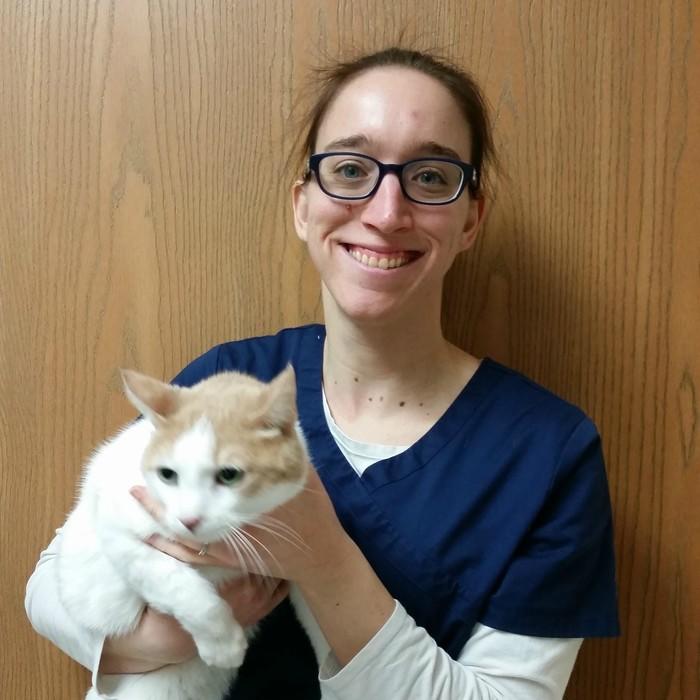 Veterinary Clinic in Grayslake IL | Best Friends Animal Hospital